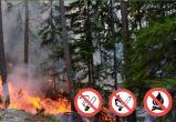 В Марий Эл высока вероятность возникновения лесных пожаров