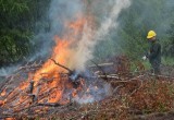 Министерство природы Марий Эл объявило об окончании пожароопасного сезона