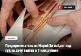 Предприниматель из Марий Эл пойдет под суд за дачу взятки в 1 млн.рублей