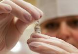  В Йошкар-Оле будут делать прививки от гриппа на выезде