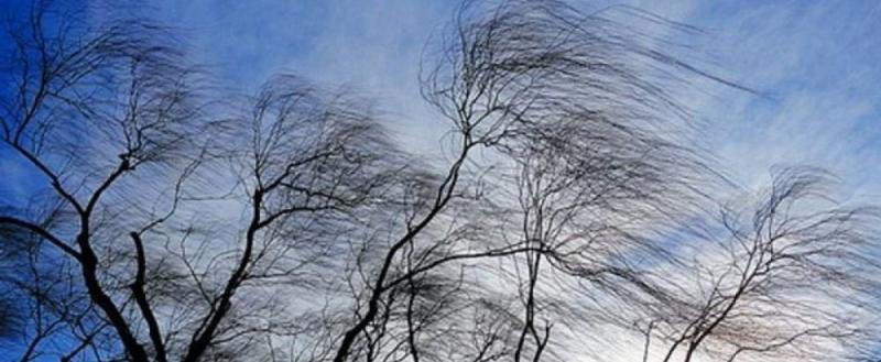 Жителей Марий Эл предупреждают о сильном ветре