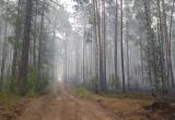 В Республике Марий Эл  до 15 мая закроют леса
