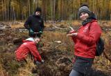 Приглашают 50 добровольцев на посадку деревьев в Медведевском районе Марий Эл