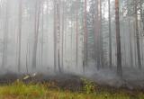 В Марий Эл ожидается высокая пожароопасность лесов