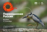 Творческая встреча с Константином Косачевым в Марий Эл